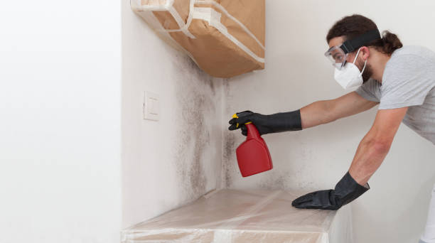 Professional Attic Mold Remediation technician working in Munson, PA