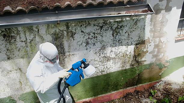 Top rated local Attic Mold Remediation specialists in Munson, PA